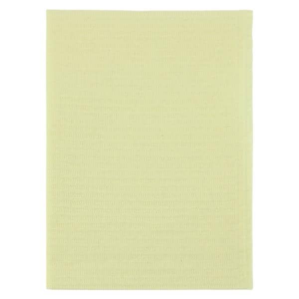 Essentials Patient Bib 2 Ply Tissue / Poly 13 in x 18 in Yw Disposable 500/Ca