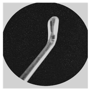 CeraPik Ear Curette 2.5mm Concave Polypropylene Non-Sterile Disposable 200/Pk