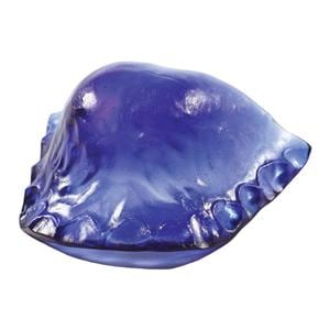 Contemporary Ortho-Jet Orthodontic Resin Self Cure Blue 4oz/Bt