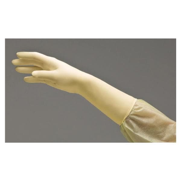 DermAssist Latex Surgical Gloves 5.5 Natural 50/Bx