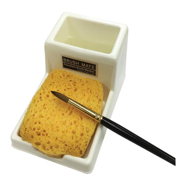 Brush Pool Bowl, Sponge and Holder Bx