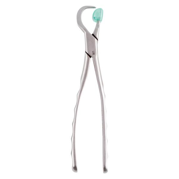 Physics Extracting Forceps Upper Right Adult Ea