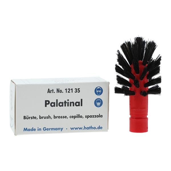 Palatinal Brush Polishing Ea