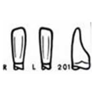 Odus Pella Strip Off Crowns 201 Refill Lower Incisor Vl