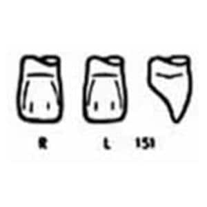 Odus Pella Strip Off Crowns 151 Large Refill Central Vl