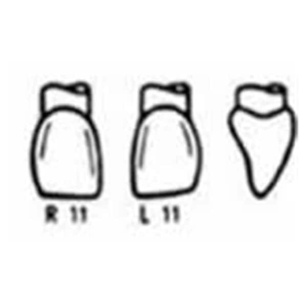 Couronne Odus Pella  11 Vl