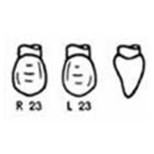 Couronnes Odus Pella 23 Vl