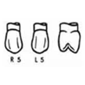 Odus Pella Strip Off Crowns 5 Refill Bicuspid Vl