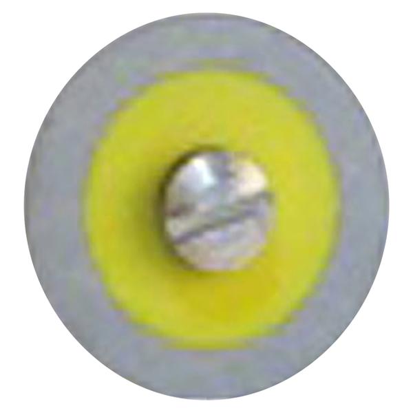 Mounted Polisher Ea