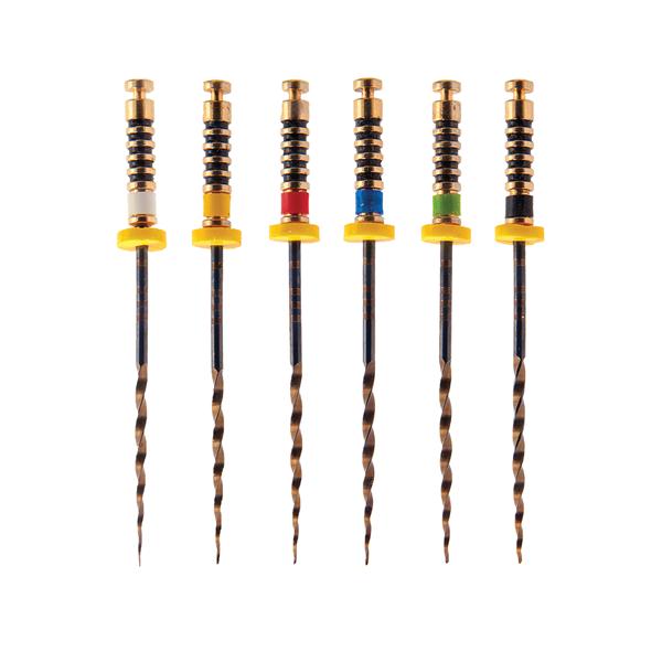 EdgeEvolve Rotary File 29 mm Size #17 .10 6/Pk