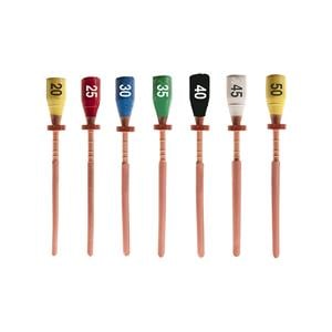 Edgecore For EdgeFile Obturators Size #20 6/Pk