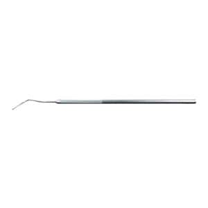 Probe Single End #6 Handle Moffitt Maryland Ea