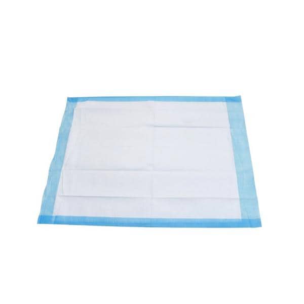 Basic Care Incontinence Underpad 17x24" High 100/Bg, 1 BG/CA
