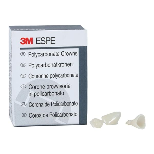 Infér antér court polycar 5/Boîte