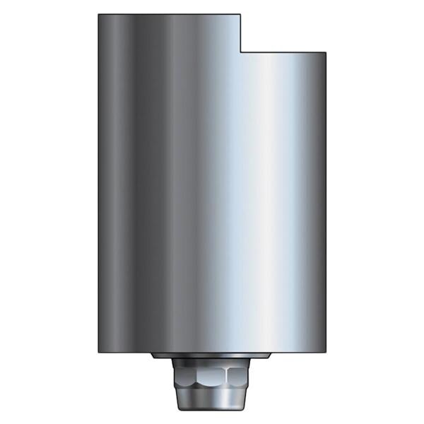 Zirlux Ti Blank Abutment Staumann Tissue Level WN synOcta Ea