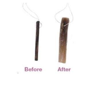 Laminaria Dilator 55mm Synthetic Disposable 10/Bx