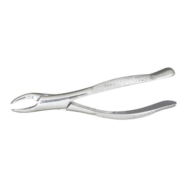 Davier 69 SG Dentelé Racines et fragments de racines sup. et inférieures Ch